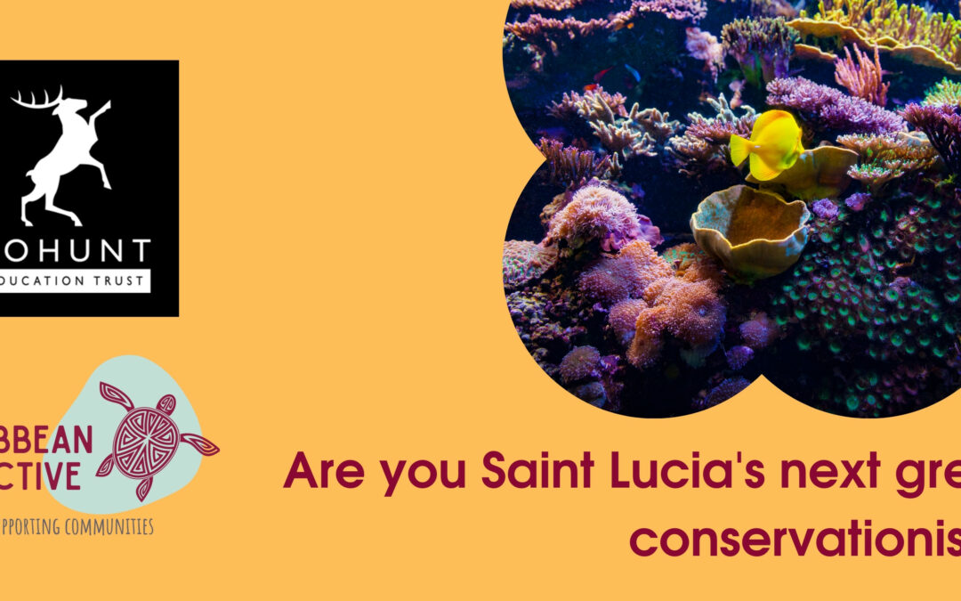 Are you Saint Lucias’ next great Conservationist?